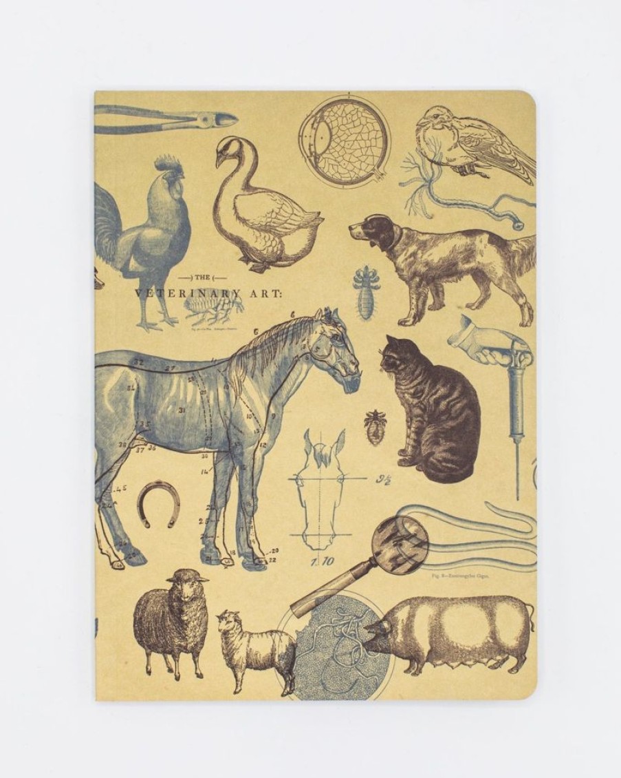 Notebooks Cognitive Surplus | Veterinarian Notebook - Softcover | Vet Journal