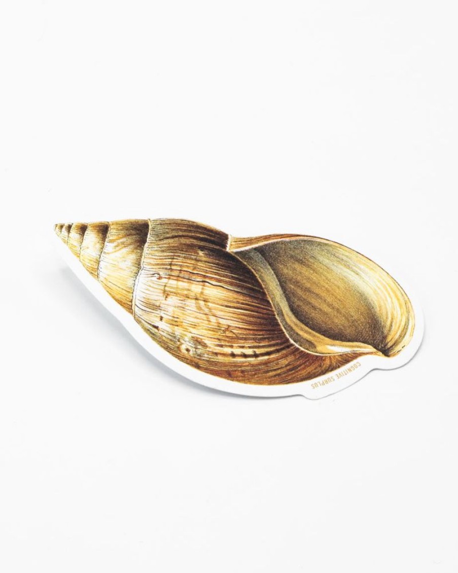 Stationery Cognitive Surplus | Sea Shell Sticker