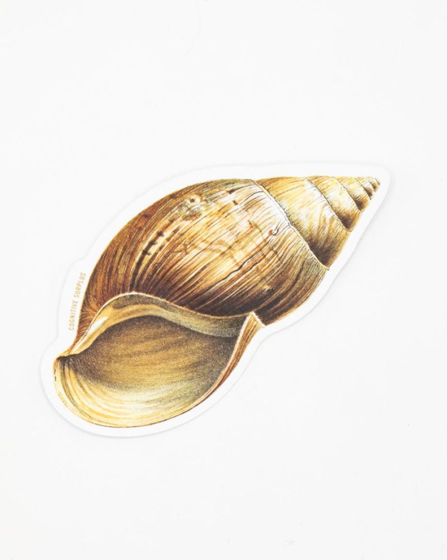 Stationery Cognitive Surplus | Sea Shell Sticker