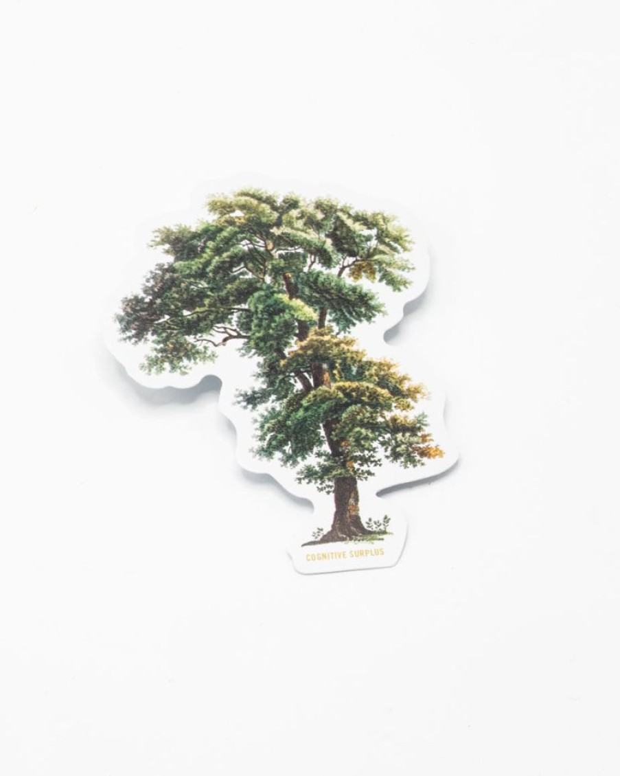 Stationery Cognitive Surplus | Tall Tree Sticker