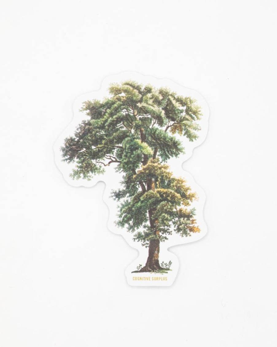 Stationery Cognitive Surplus | Tall Tree Sticker