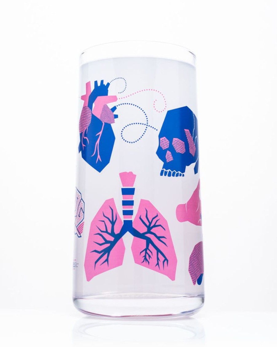 Kitchen + Bar Cognitive Surplus | Retro Anatomy Drinking Glass Tumbler Glass | Cognitive Surplus