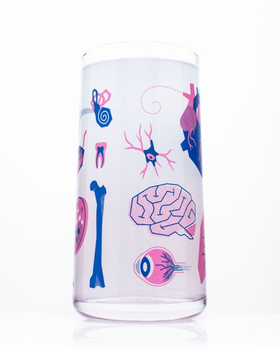 Kitchen + Bar Cognitive Surplus | Retro Anatomy Drinking Glass Tumbler Glass | Cognitive Surplus