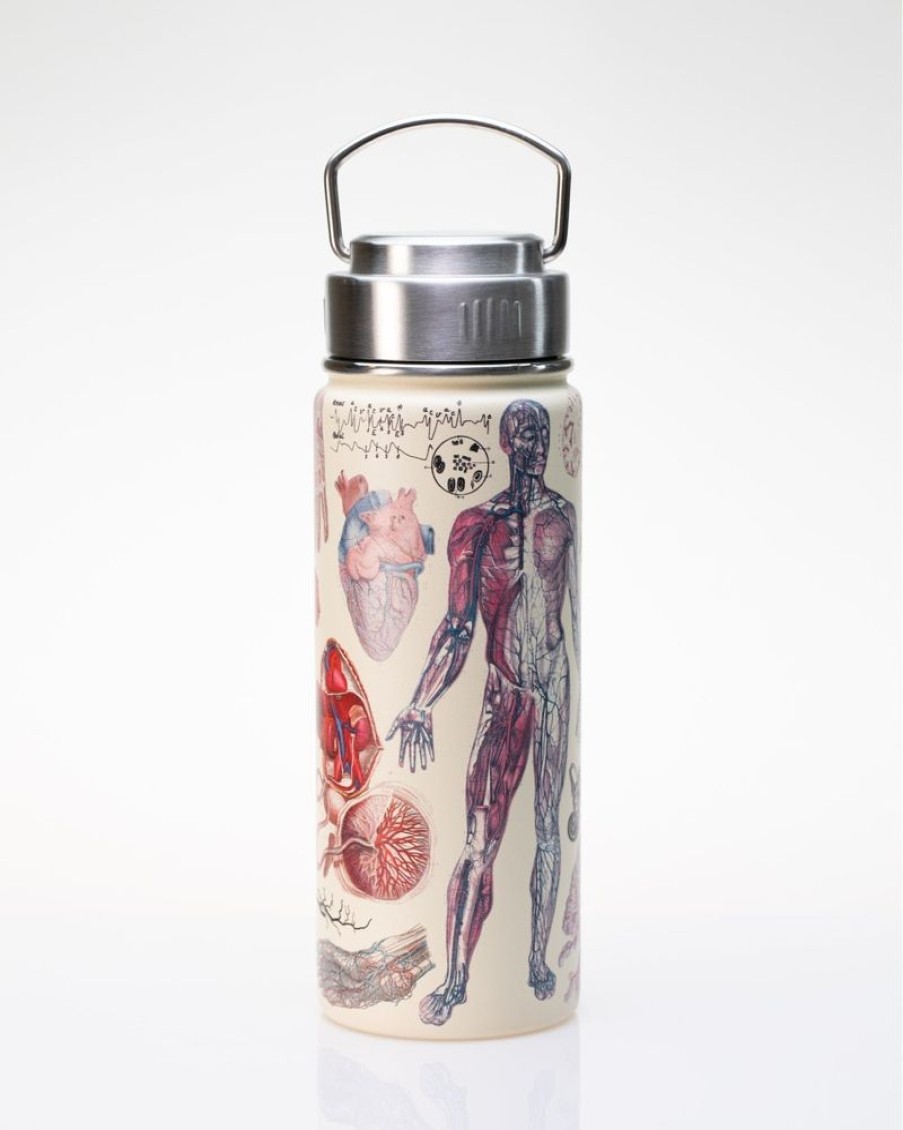 Kitchen + Bar Cognitive Surplus | Human Anatomy Stainless Steel Vacuum Flask / Insulated Travel Thermos