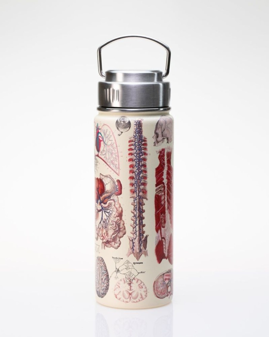 Kitchen + Bar Cognitive Surplus | Human Anatomy Stainless Steel Vacuum Flask / Insulated Travel Thermos