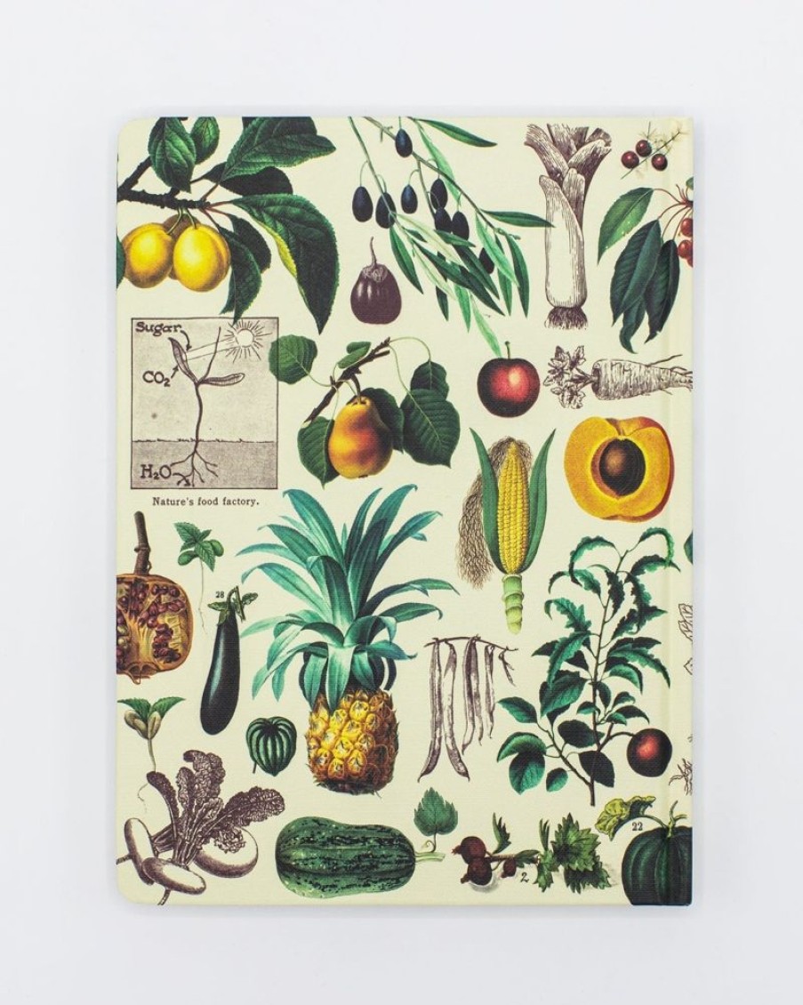 Notebooks Cognitive Surplus | Botanical Print Notebook - Hardcover | Science Notebook