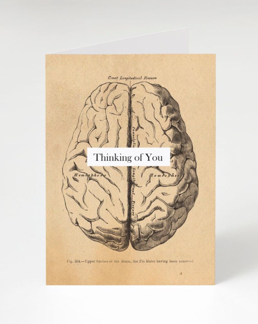 Stationery Cognitive Surplus | Brain: Thinking Of You Greeting Card - Medical Illustration Card