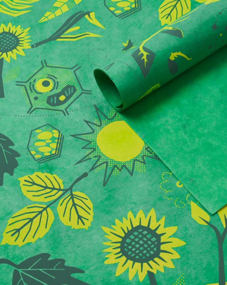 Stationery Cognitive Surplus | Retro Botany Wrapping Paper