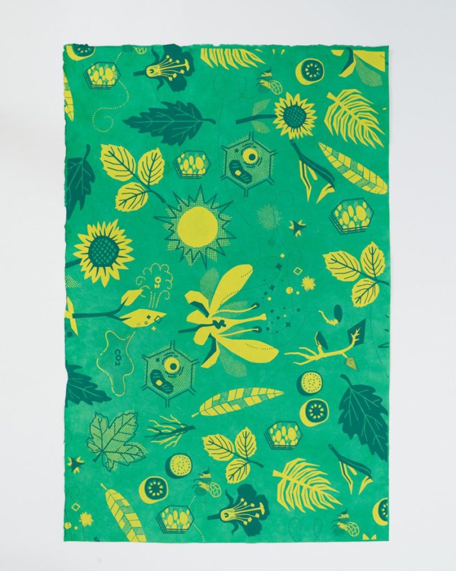 Stationery Cognitive Surplus | Retro Botany Wrapping Paper