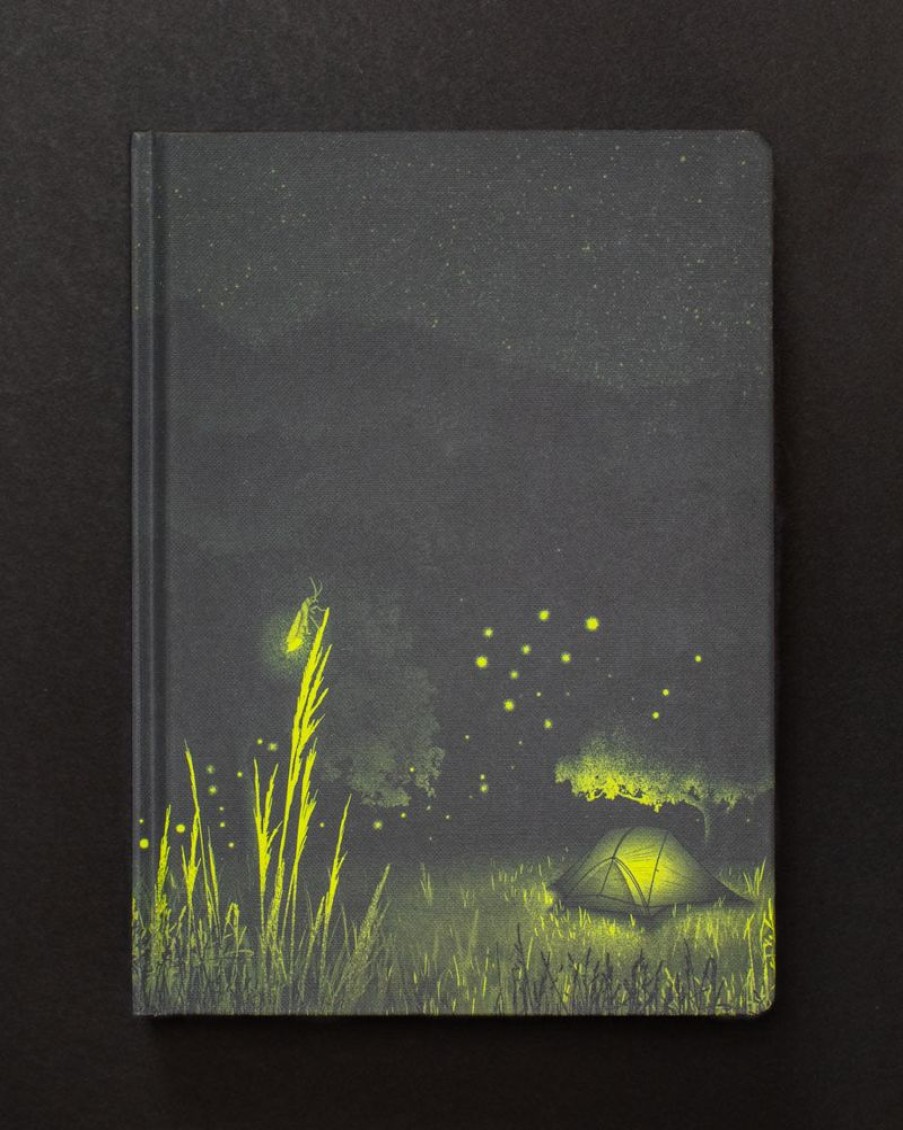 Notebooks Cognitive Surplus | Firefly Meadow Dark Matter Notebook