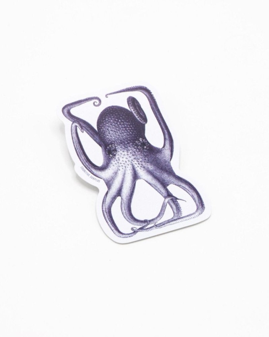 Stationery Cognitive Surplus | Octopus In A Box Sticker