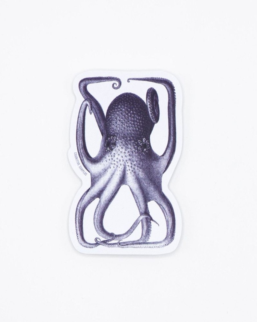 Stationery Cognitive Surplus | Octopus In A Box Sticker