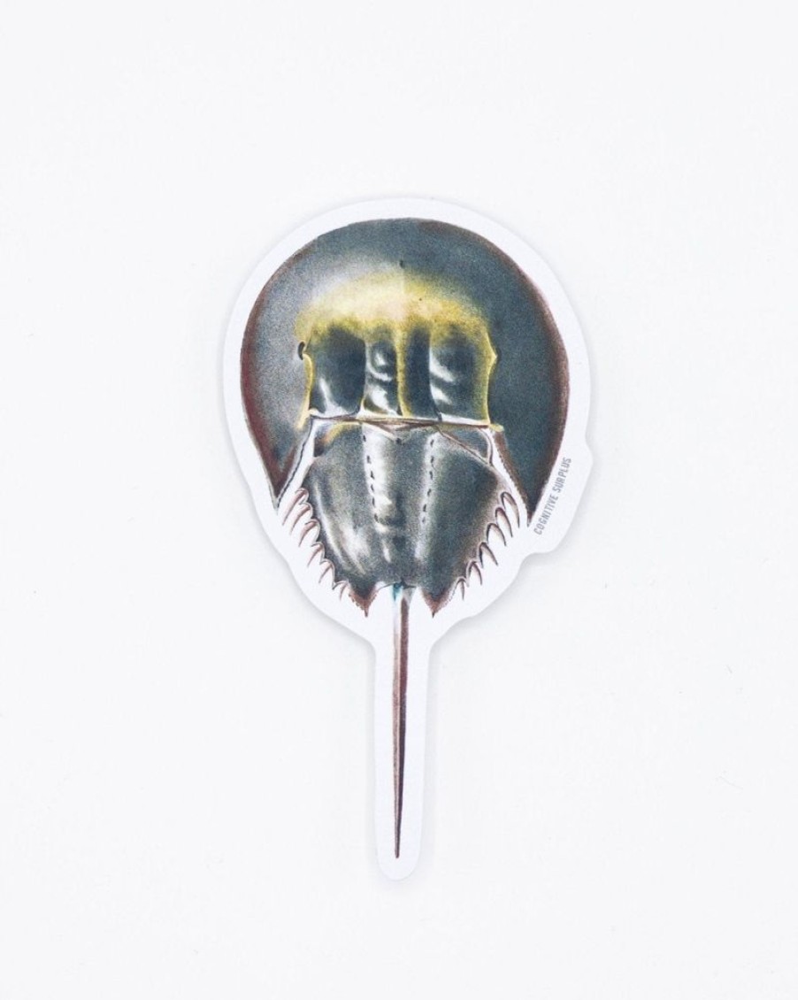 Stationery Cognitive Surplus | Horseshoe Crab Sticker