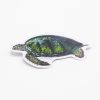 Stationery Cognitive Surplus | Green Sea Turtle Sticker