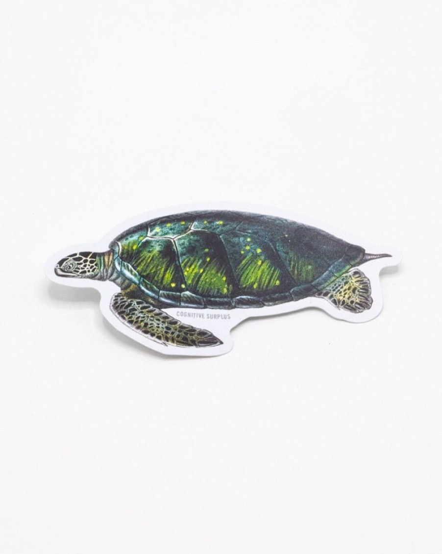 Stationery Cognitive Surplus | Green Sea Turtle Sticker