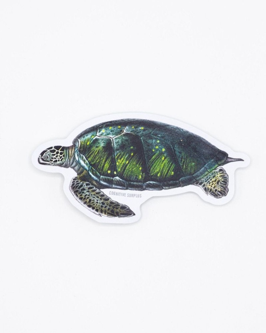 Stationery Cognitive Surplus | Green Sea Turtle Sticker