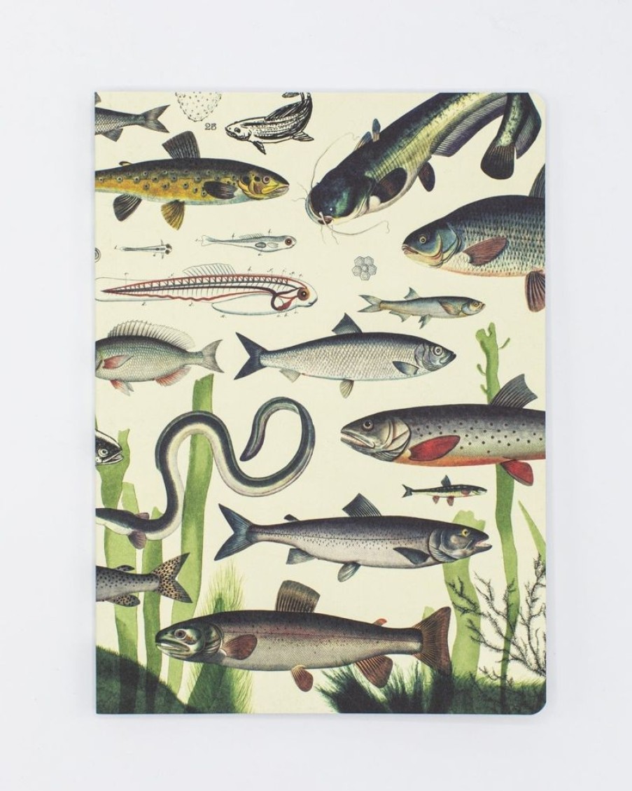 Notebooks Cognitive Surplus | Freshwater Fish Softcover Notebook - Dot Grid