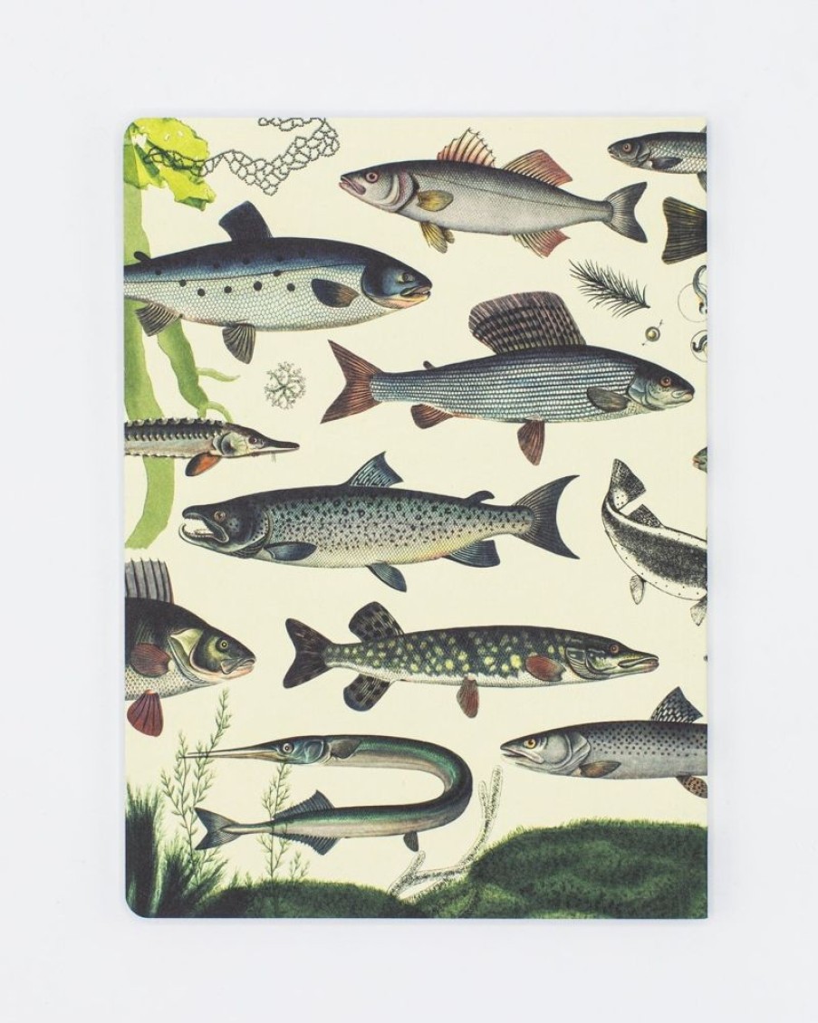 Notebooks Cognitive Surplus | Freshwater Fish Softcover Notebook - Dot Grid