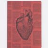 Notebooks Cognitive Surplus | Anatomical Heart Journal - Softcover