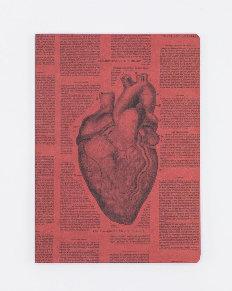 Notebooks Cognitive Surplus | Anatomical Heart Journal - Softcover