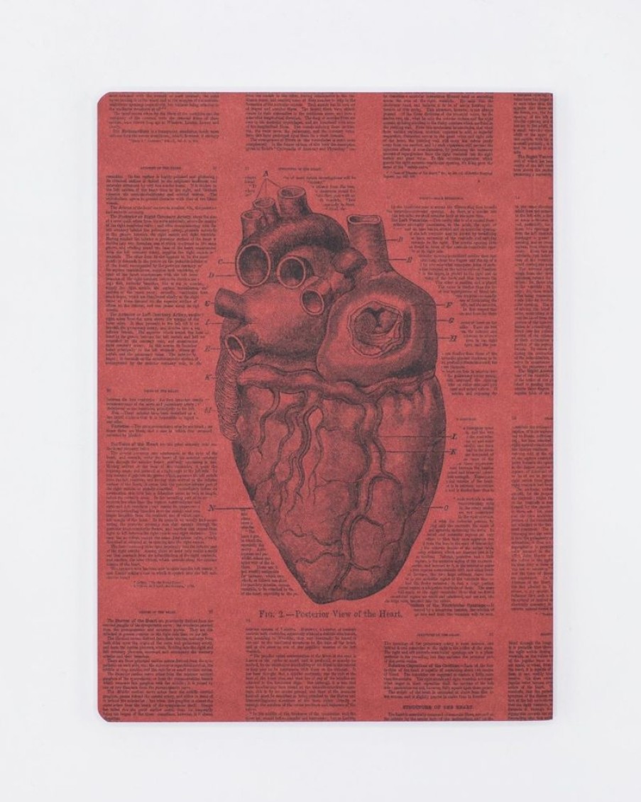 Notebooks Cognitive Surplus | Anatomical Heart Journal - Softcover