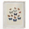 Wall Art Cognitive Surplus | Butterfly 2 Scientific Illustration Museum Print