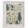 Wall Art Cognitive Surplus | Forest Plate 2 Museum Print | Botany Print