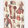 Notebooks Cognitive Surplus | Anatomy: Muscles Heart Hardcover Notebook | Cognitive Surplus