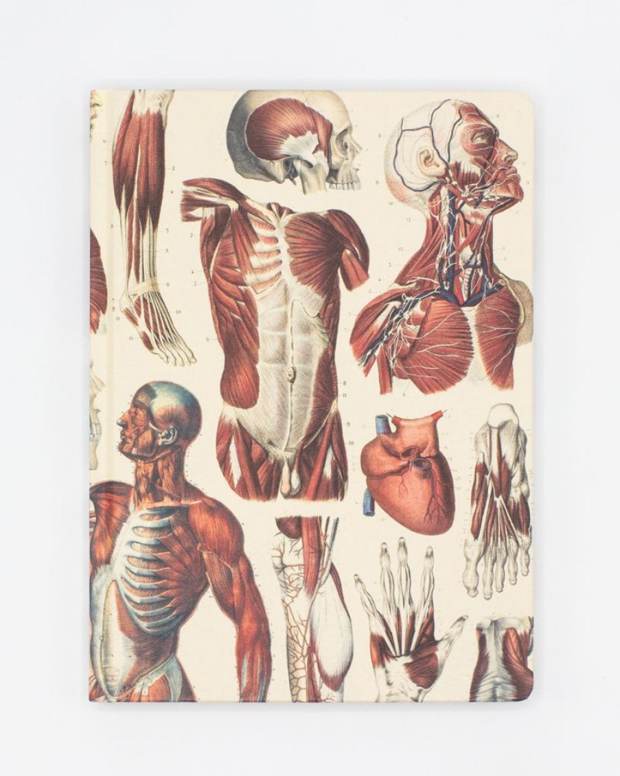 Notebooks Cognitive Surplus | Anatomy: Muscles Heart Hardcover Notebook | Cognitive Surplus