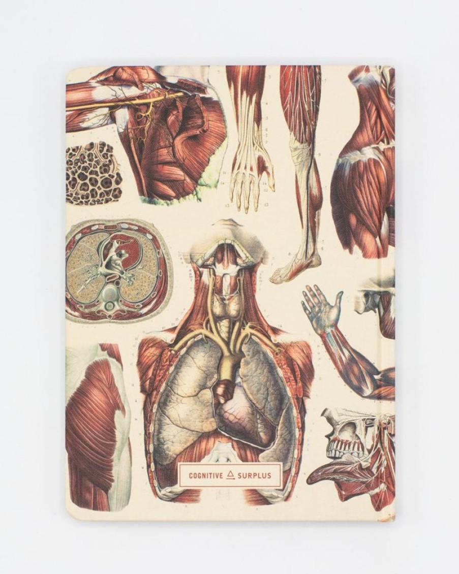 Notebooks Cognitive Surplus | Anatomy: Muscles Heart Hardcover Notebook | Cognitive Surplus