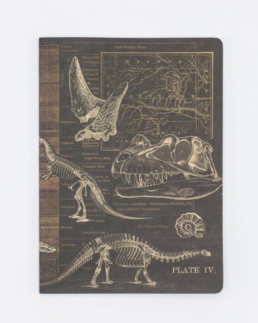 Notebooks Cognitive Surplus | Dinosaur Softcover Notebook | Paleontology Dotted Journal