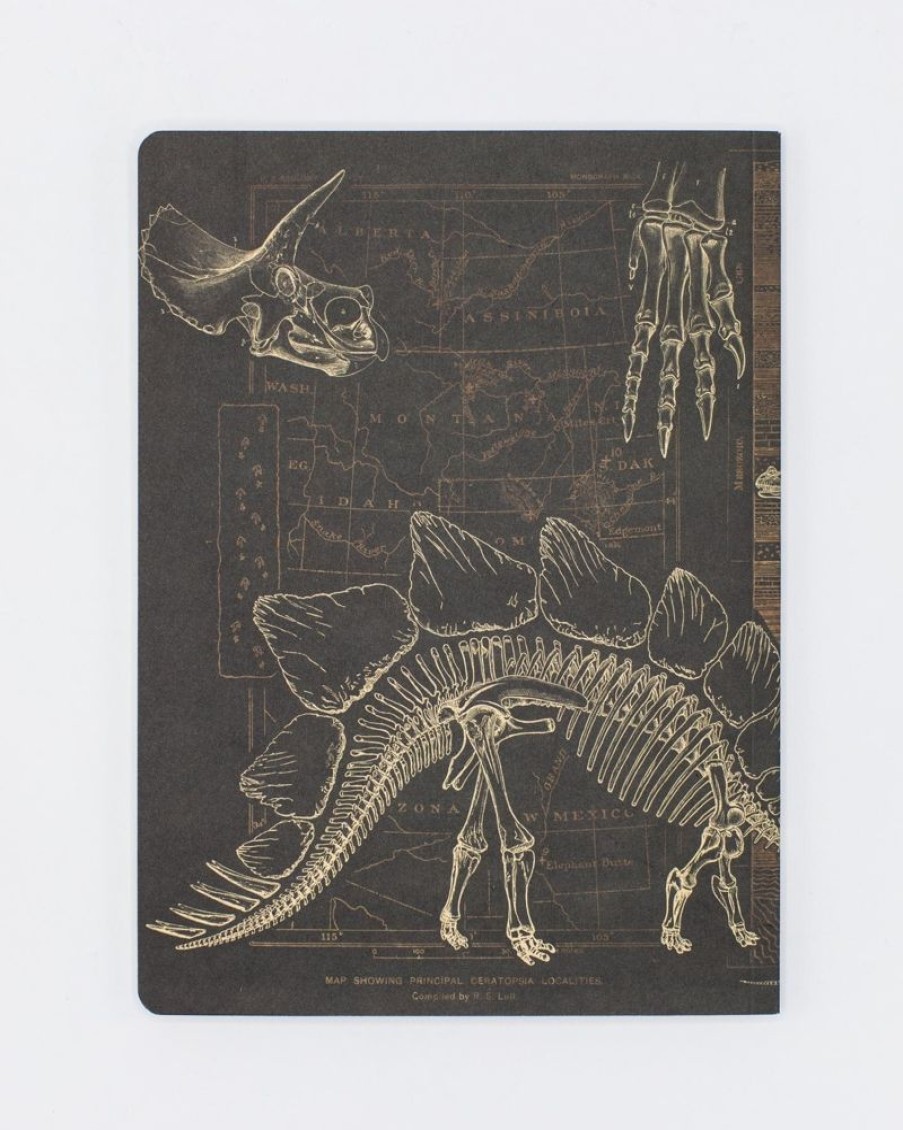 Notebooks Cognitive Surplus | Dinosaur Softcover Notebook | Paleontology Dotted Journal