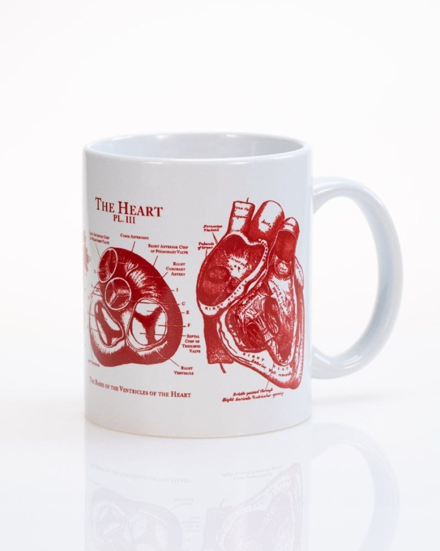 Kitchen + Bar Cognitive Surplus | Anatomical Heart Mug | Anatomy Gift | Cognitive Surplus