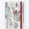 Notebooks Cognitive Surplus | Anatomy & Physiology A5 Notebook - Dotted Lines | Cognitive Surplus