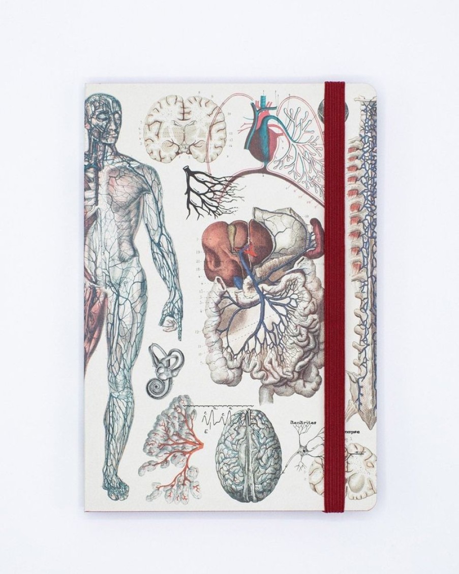 Notebooks Cognitive Surplus | Anatomy & Physiology A5 Notebook - Dotted Lines | Cognitive Surplus