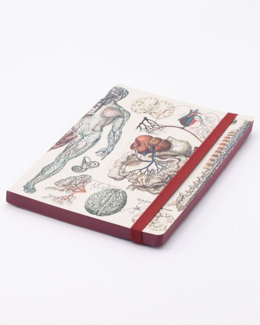 Notebooks Cognitive Surplus | Anatomy & Physiology A5 Notebook - Dotted Lines | Cognitive Surplus