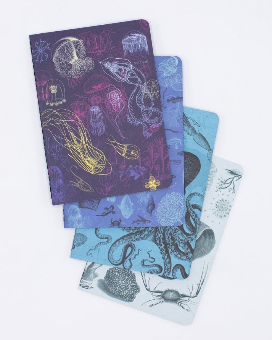 Notebooks Cognitive Surplus | Marine Biology Pocket Notebooks Set Of 4 | Marine Biology