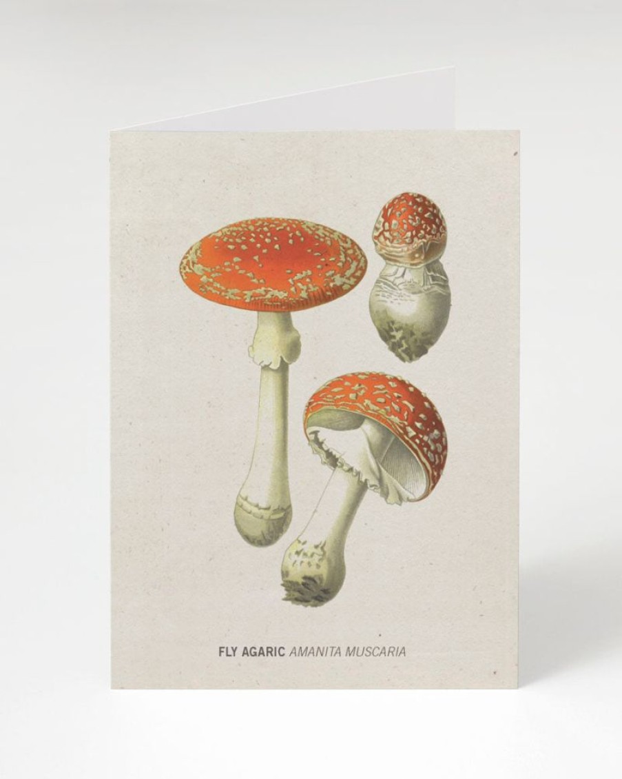 Stationery Cognitive Surplus | Fly Agaric Poisonous Mushroom Card | Cognitive Surplus