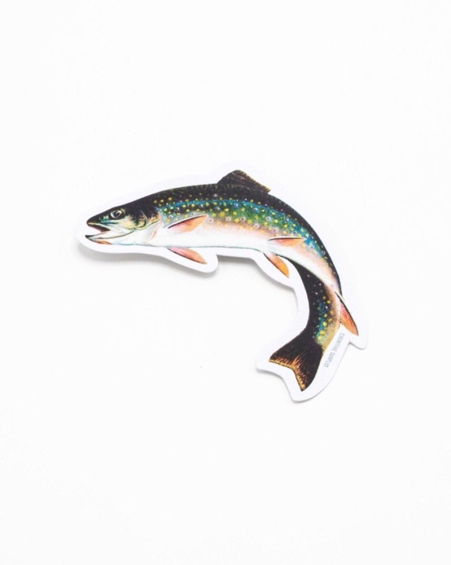 Stationery Cognitive Surplus | Trout Sticker