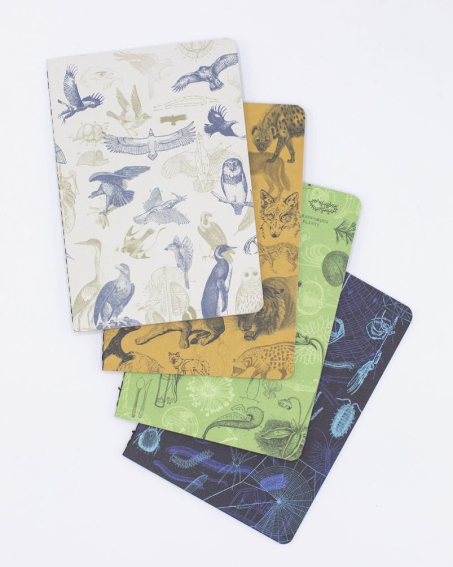 Notebooks Cognitive Surplus | Carnivores Pocket Notebooks Set Of 4 | Science Notebook