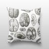 Home Cognitive Surplus | Brain Scan Pillow Cover