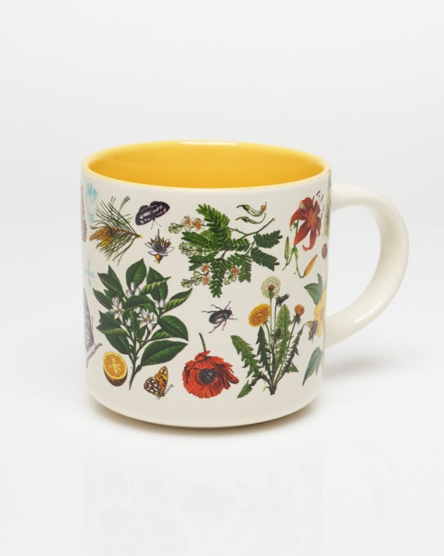 Kitchen + Bar Cognitive Surplus | Pollinators Mug - Entomology Mug | Cognitive Surplus