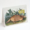 Stationery Cognitive Surplus | Sorry Armadillo Card - Apology Card | Cognitive Surplus