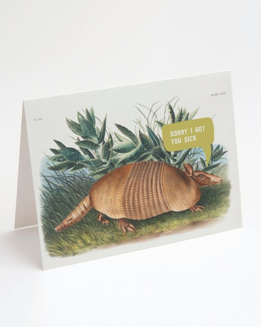 Stationery Cognitive Surplus | Sorry Armadillo Card - Apology Card | Cognitive Surplus