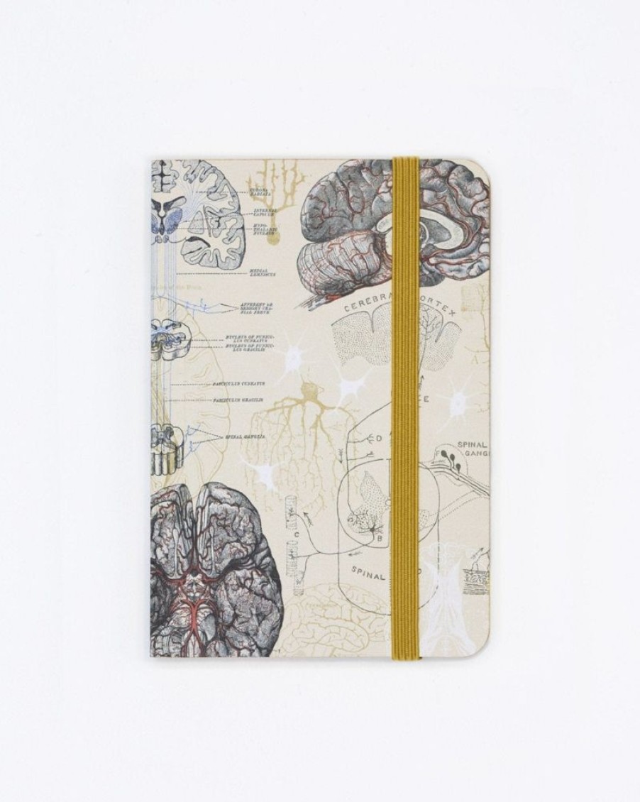 Notebooks Cognitive Surplus | Brain Observation Softcover