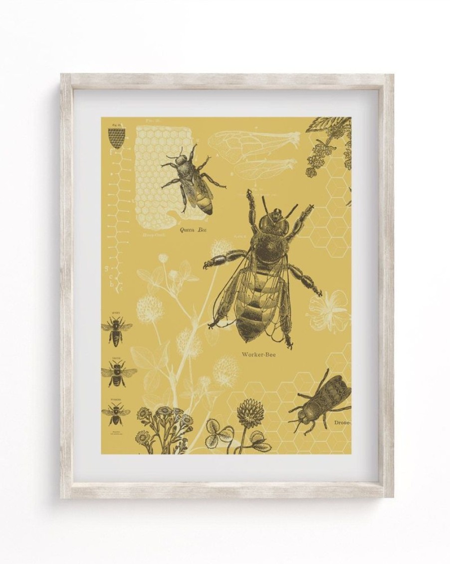 Wall Art Cognitive Surplus | Honey Bee Scientific Illustration Museum Print