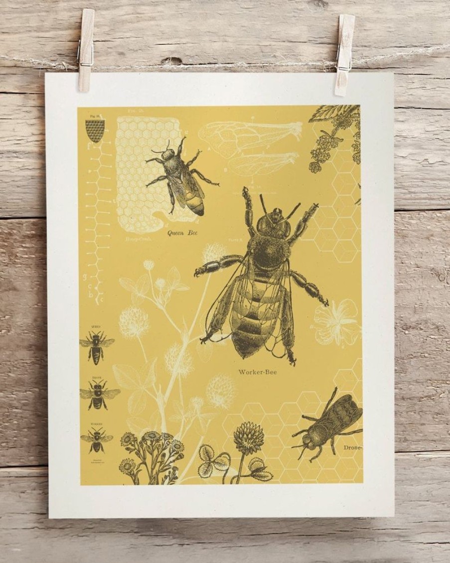 Wall Art Cognitive Surplus | Honey Bee Scientific Illustration Museum Print