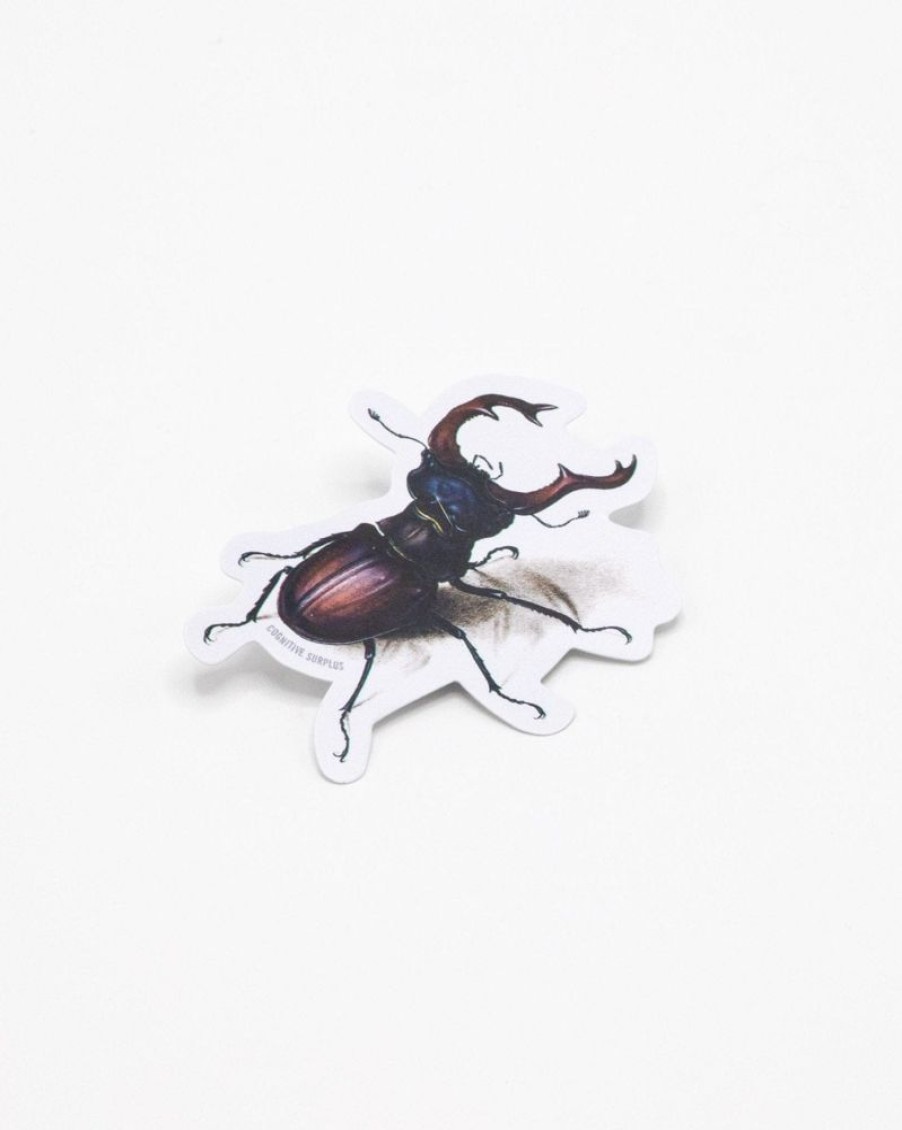 Stationery Cognitive Surplus | Beetle Sticker