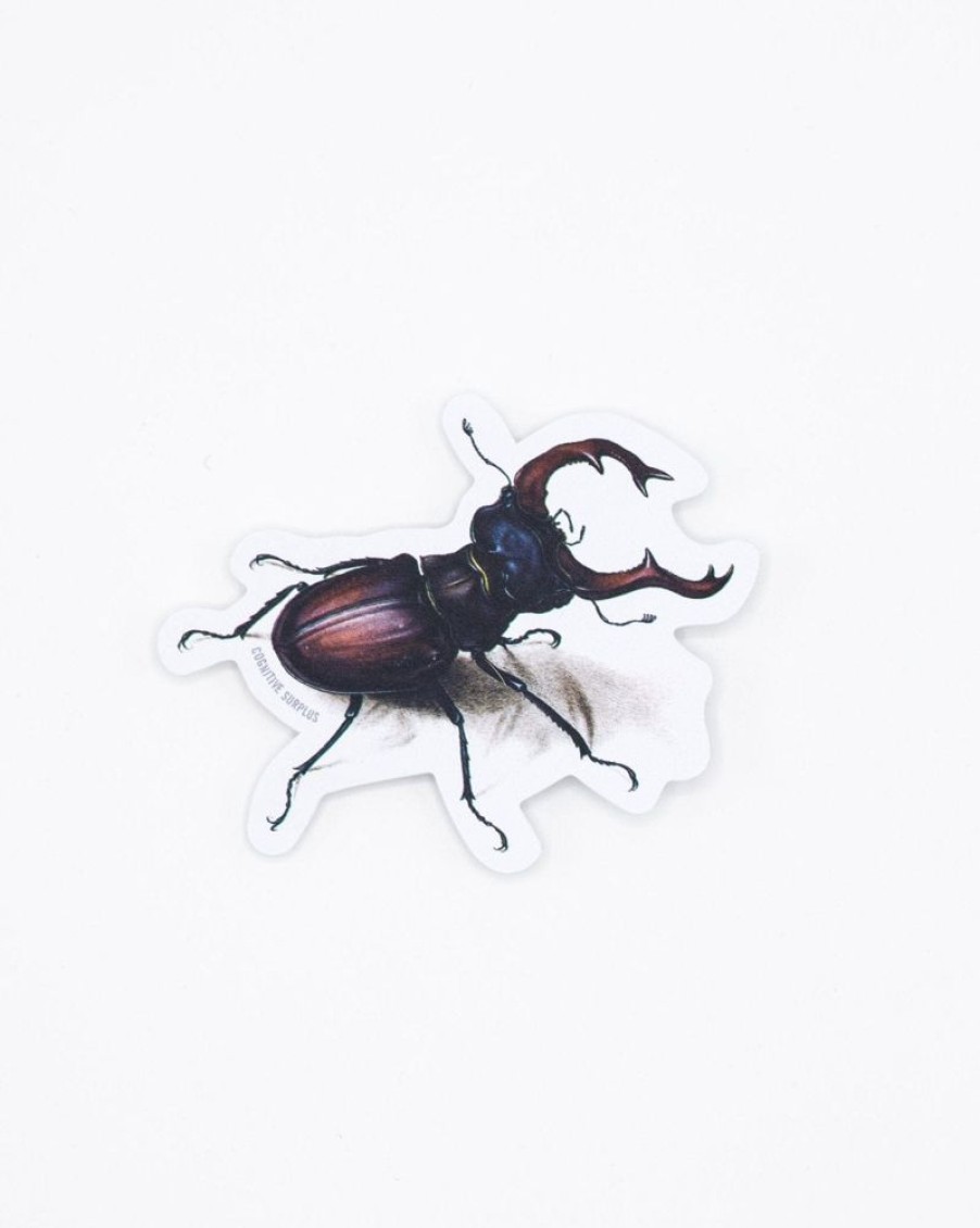 Stationery Cognitive Surplus | Beetle Sticker