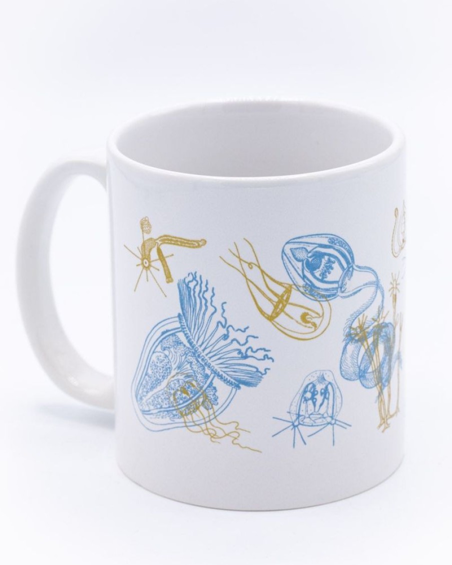 Kitchen + Bar Cognitive Surplus | Jellyfish Mug 20 Oz | Science Mug